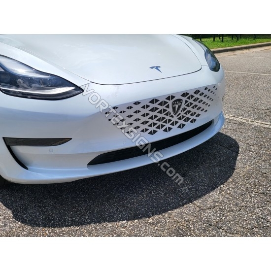 BMW style Tesla grille decal for Model 3 Model Y