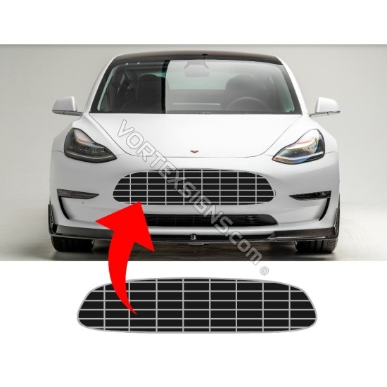 Tesla front bumper maserati Aston Martin grille