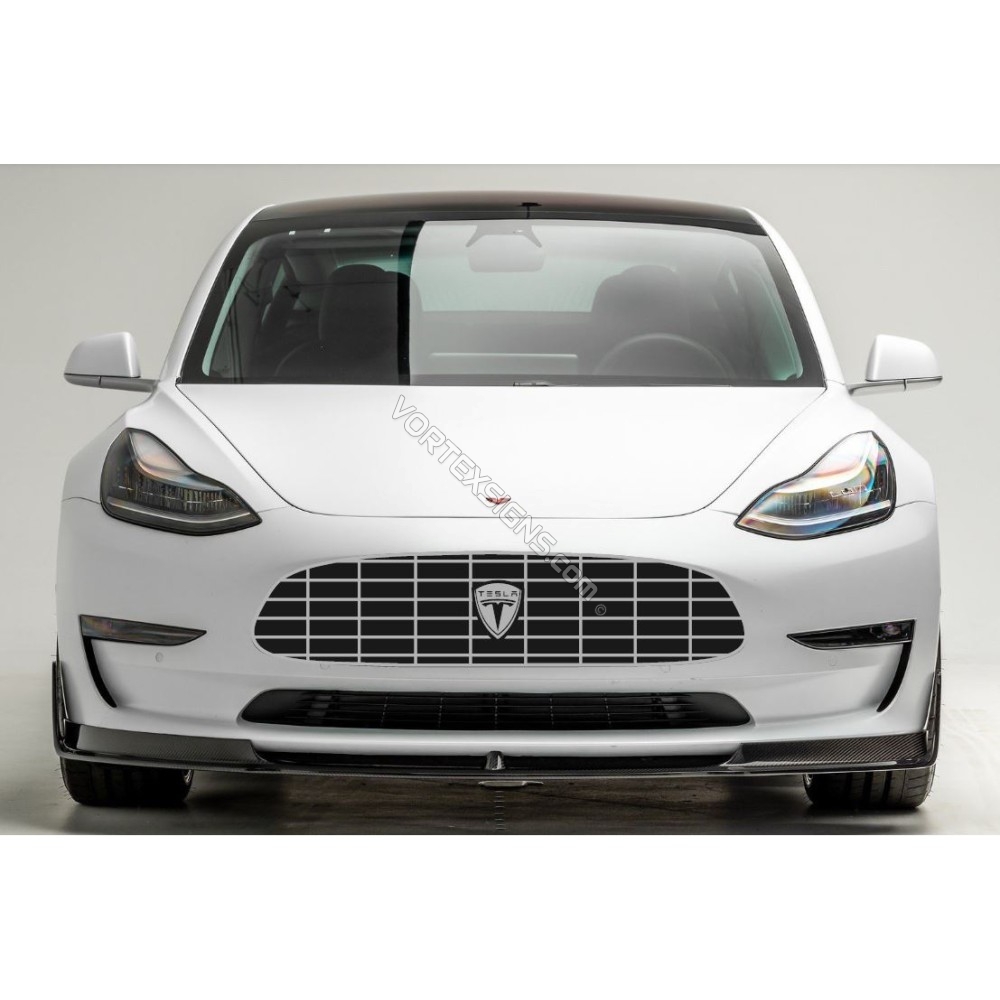 Tesla grill net